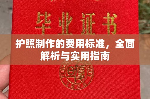 天元护照制作的费用标准，全面解析与实用指南