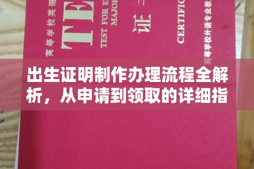 天元出生证明制作办理流程全解析，从申请到领取的详细指南