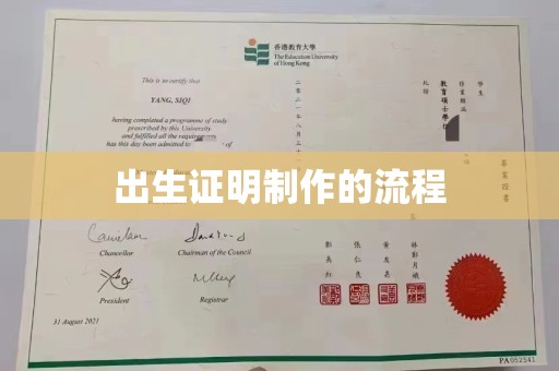 天元出生证明制作的流程